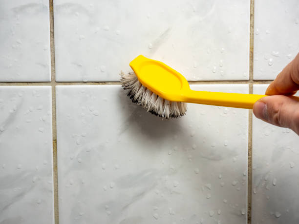 Best Office Mold Removal Services  in East Rancho Dominguez, CA