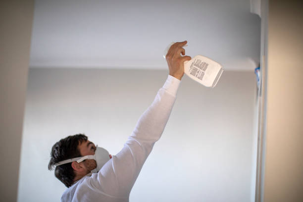 Best Mold Removal Near Me  in East Rancho Dominguez, CA